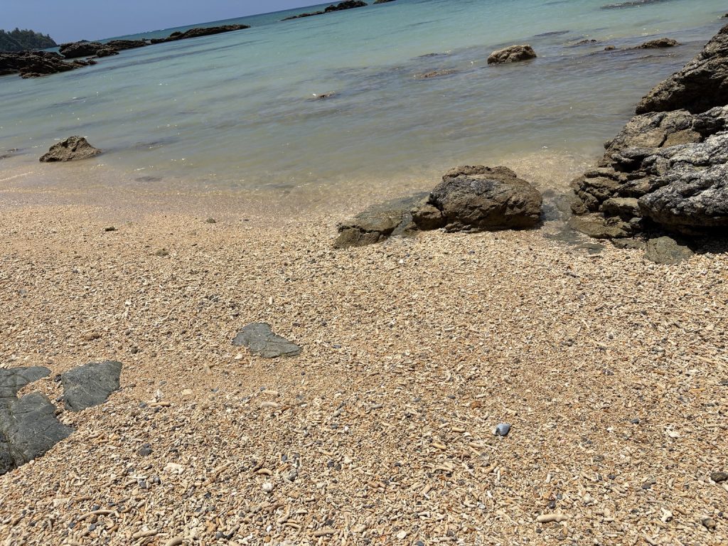 サンゴ片や小石が多い沖縄の海岸